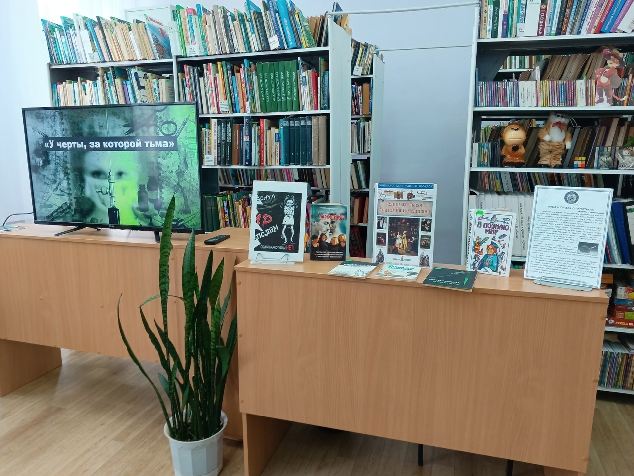 Урок – предупреждение «У черты, за которой тьма»