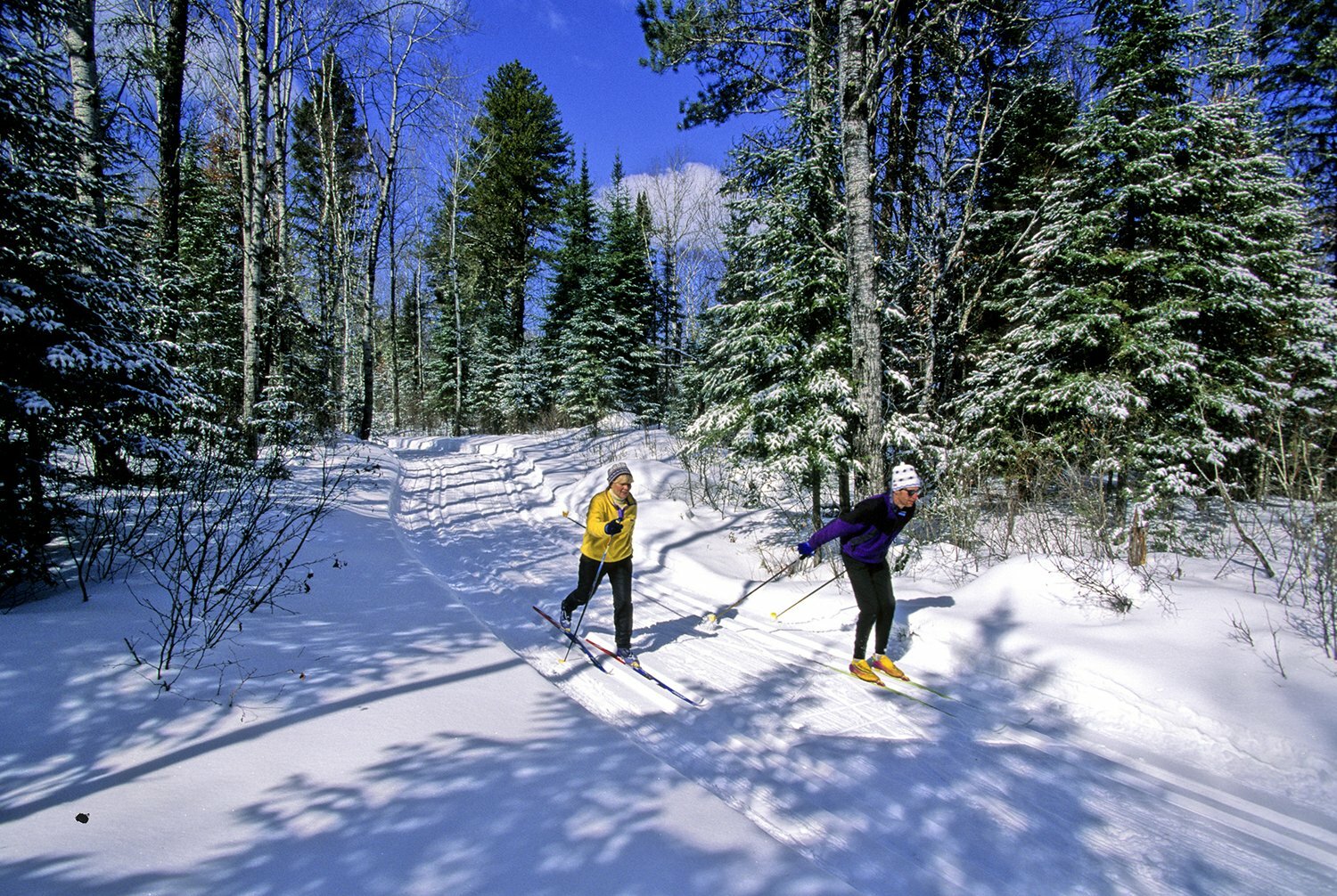 Лыжная база Измайлово. Катание на лыжах в лесу. Лыжная прогулка в лесу. Зимняя прогулка.