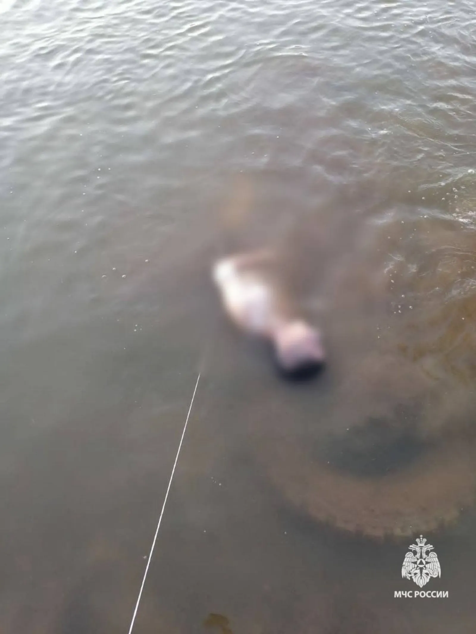 В Башкирии в выходные дни вода унесла жизни детей и взрослых