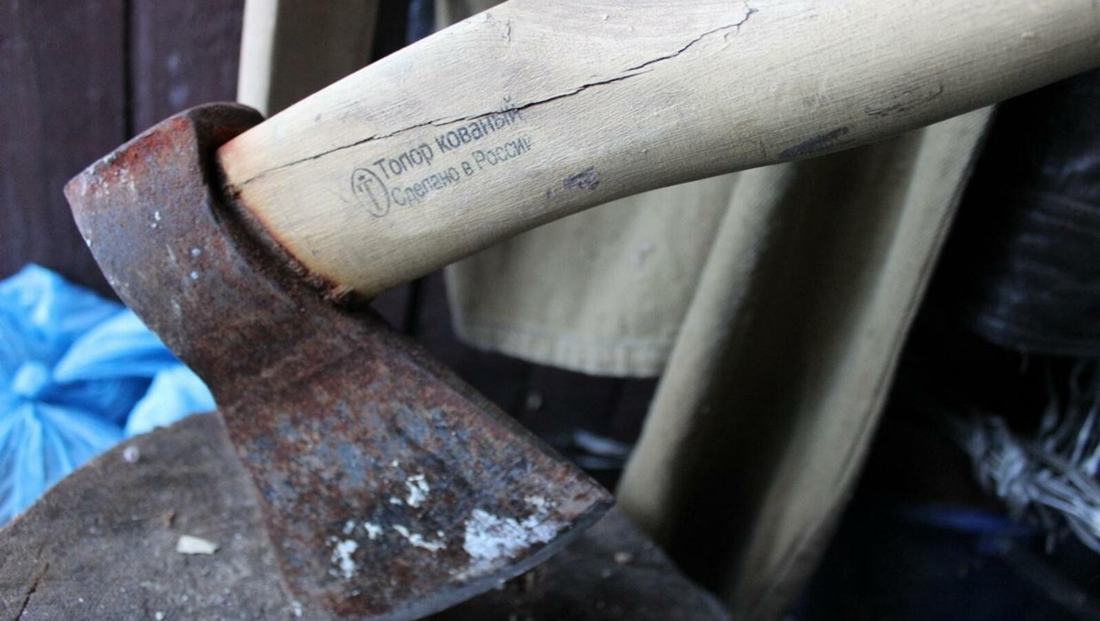 Житель Белебея задушил, расчленил топором и закопал тело сожительницы