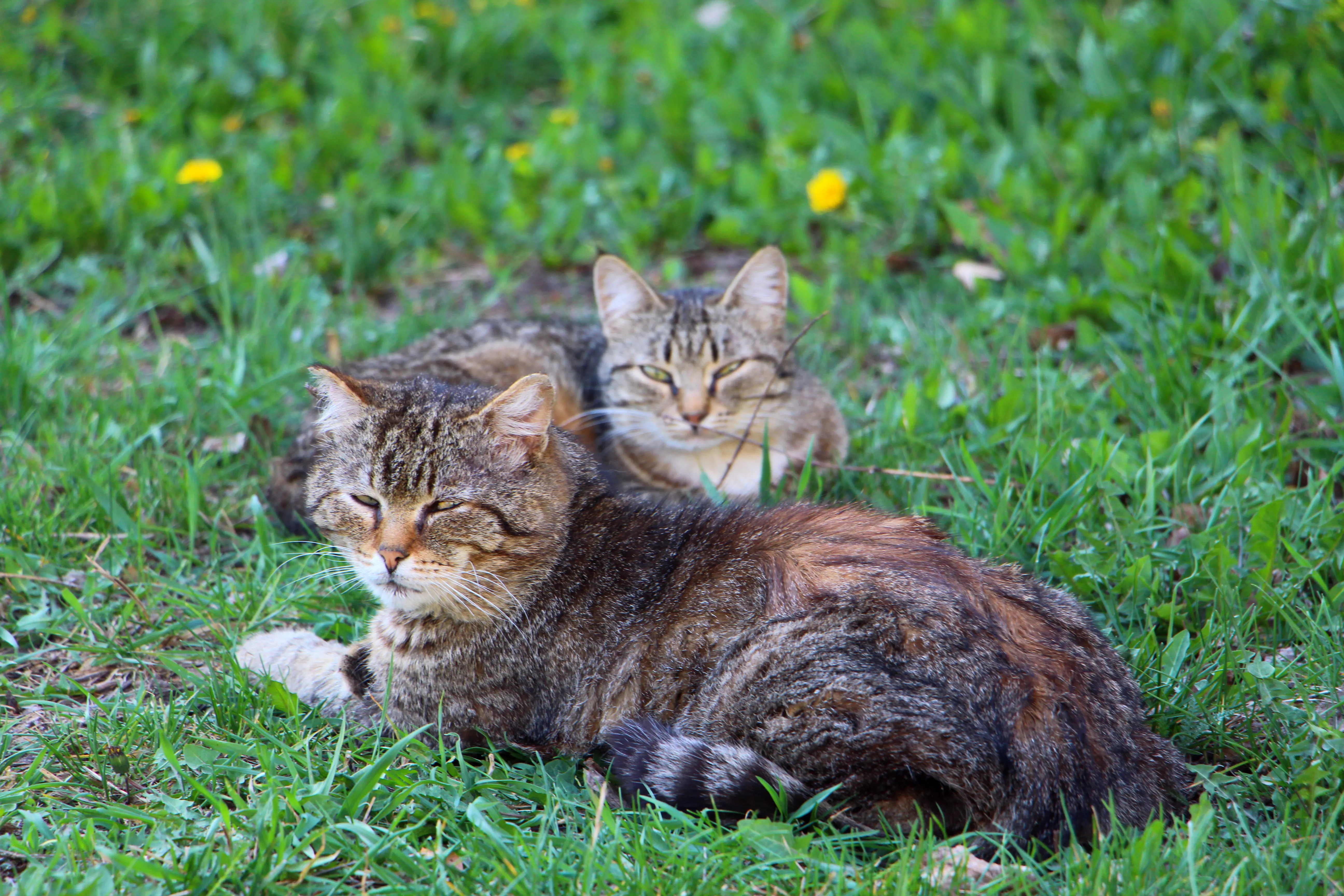 От заморозков до летнего зноя: в Башкирии синоптики дали прогноз на май