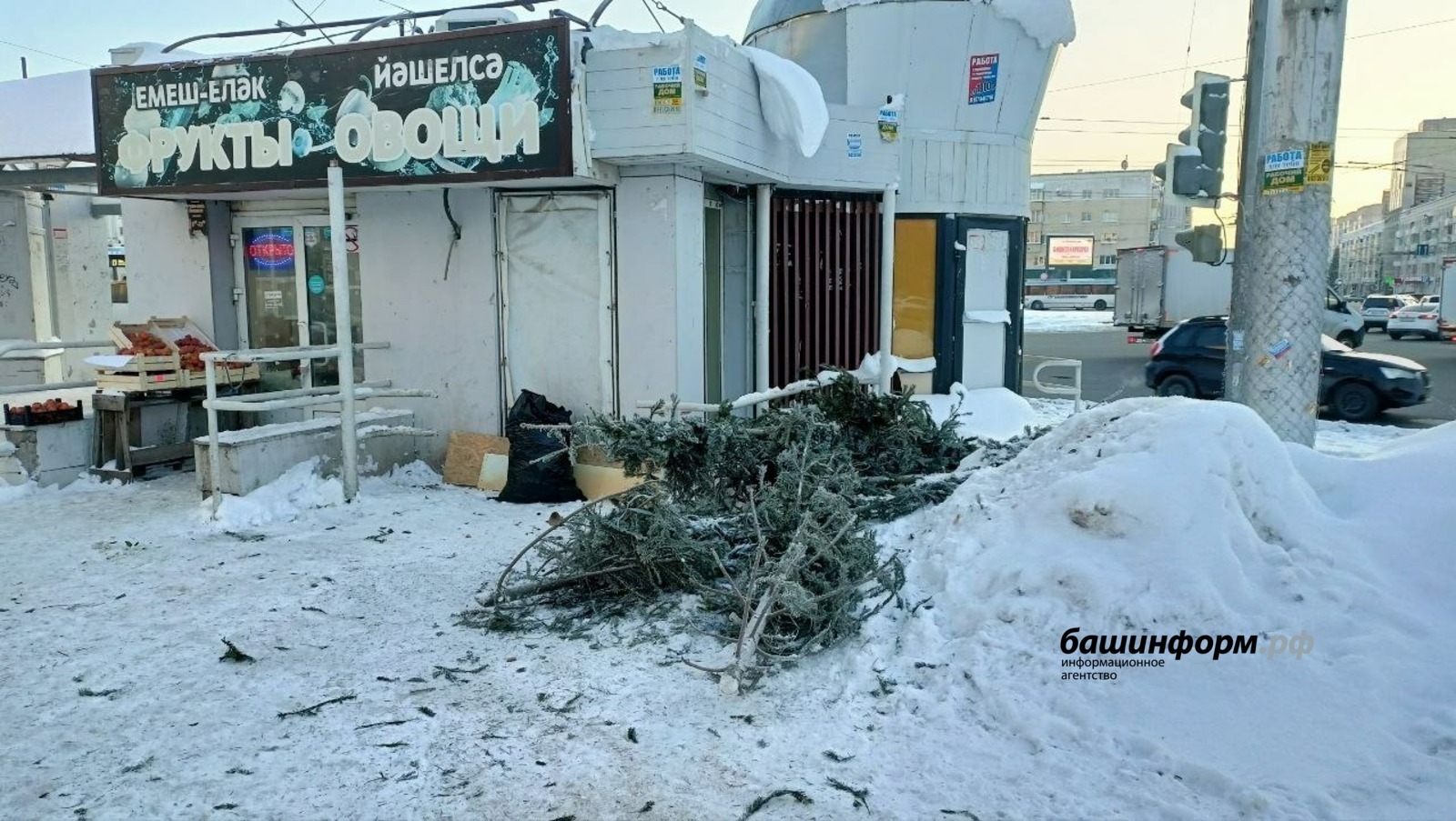 Правительство РФ рассмотрит законопроект Башкирии о растительных отходах