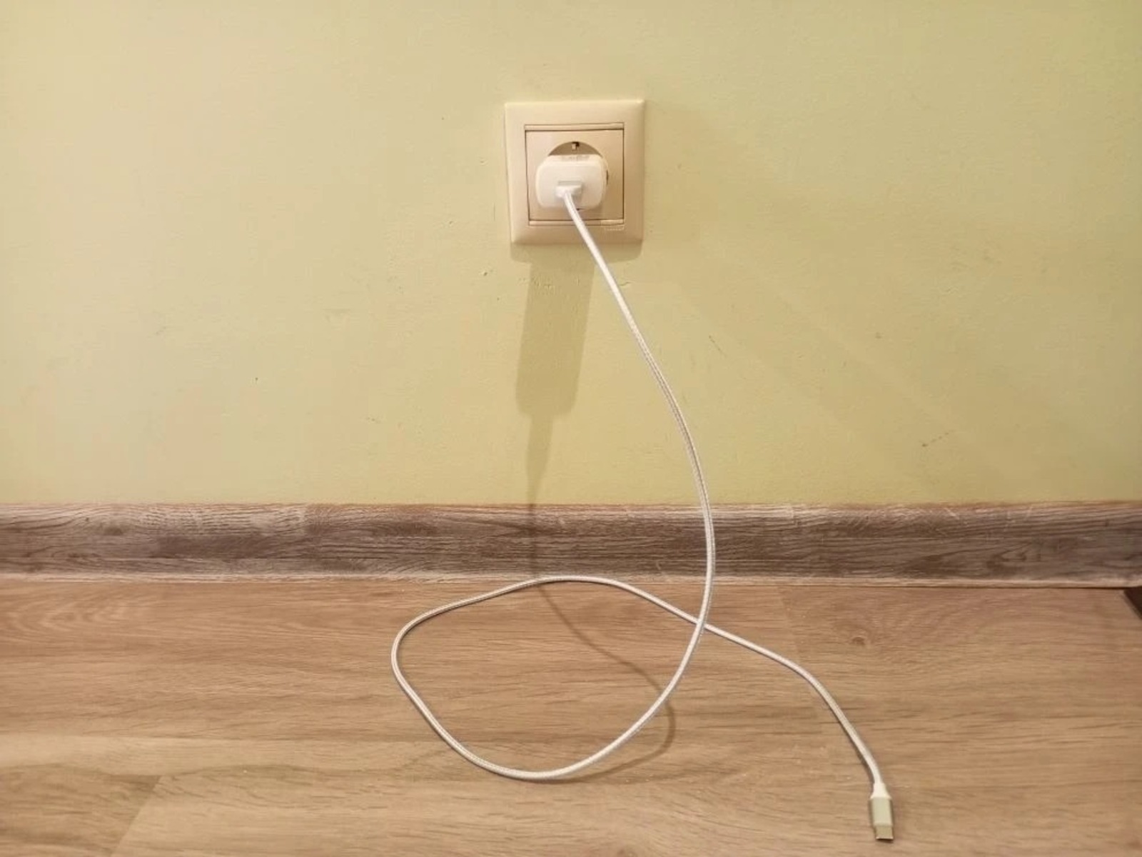 Тихие воришки оккупировали электрические розетки в квартире