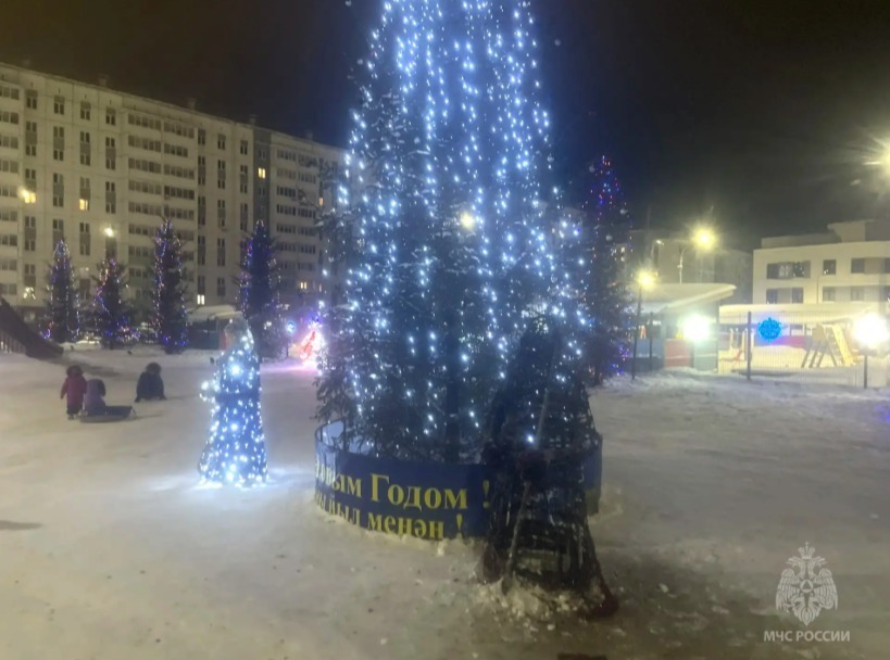 В Башкирии от фейерверка загорелась фигура Деда Мороза