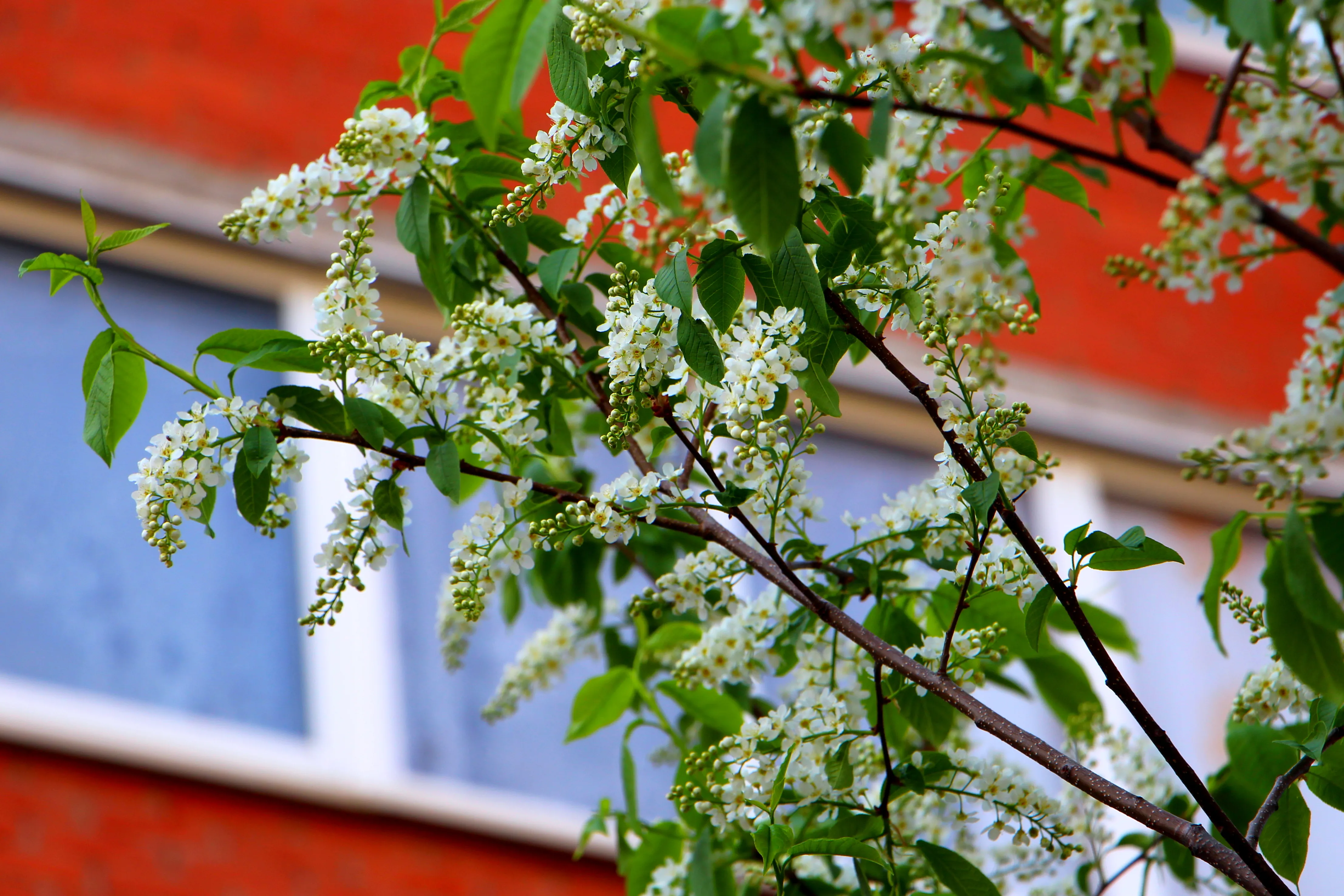 От заморозков до летнего зноя: в Башкирии синоптики дали прогноз на май