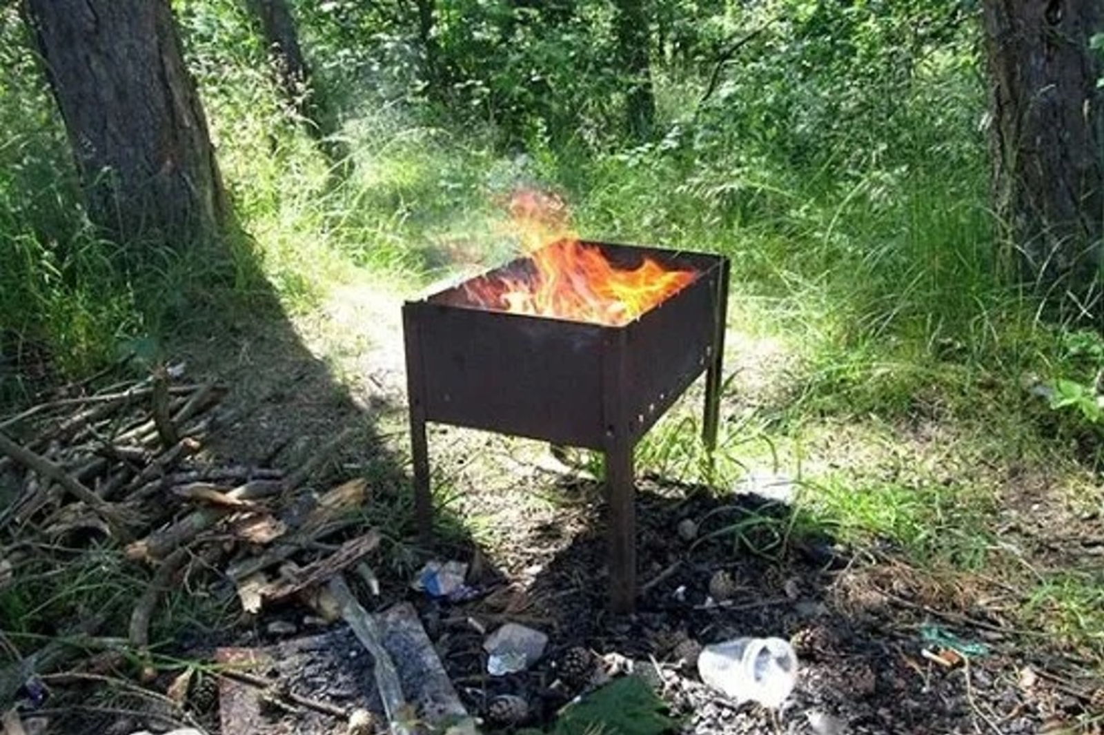 Жителям трех районов Башкирии запретили ходить в лес