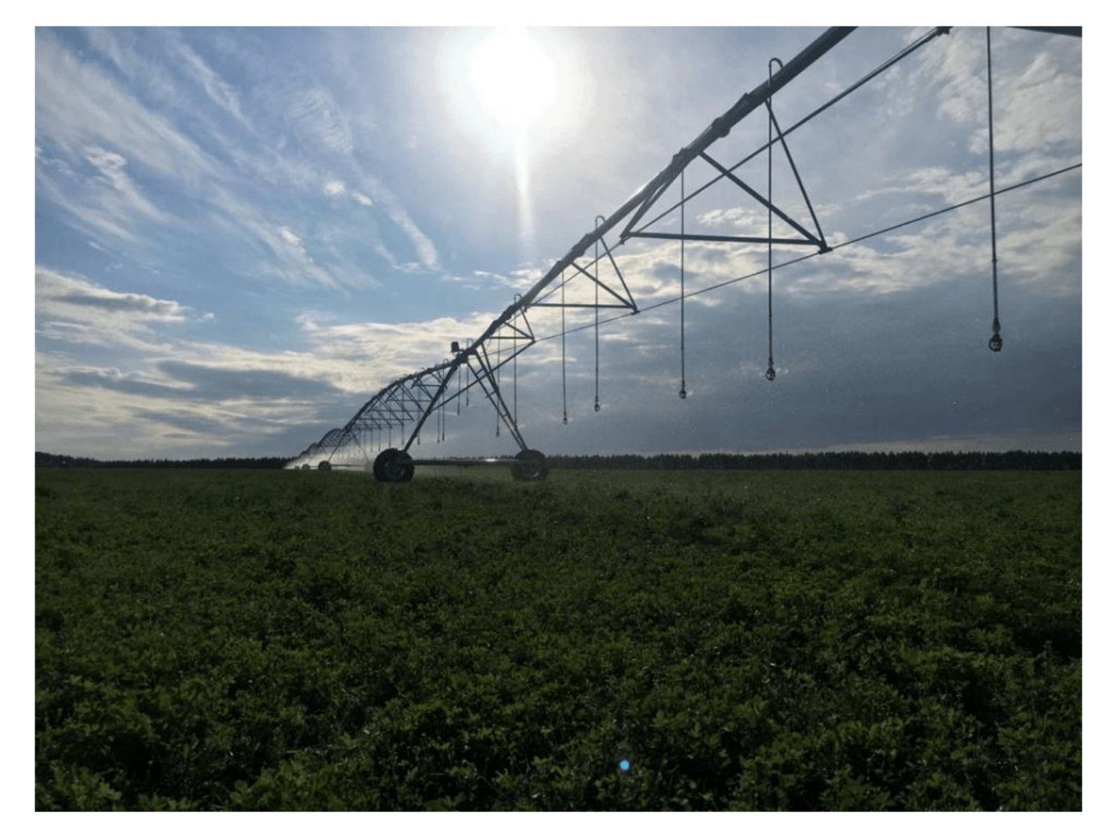 Башкирские аграрии готовы построить 3,2 тыс. гектаров мелиоративных систем
