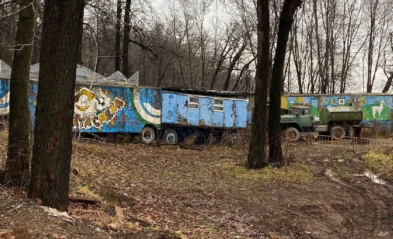 В Башкирии хищники годами живут в заброшенном зоопарке