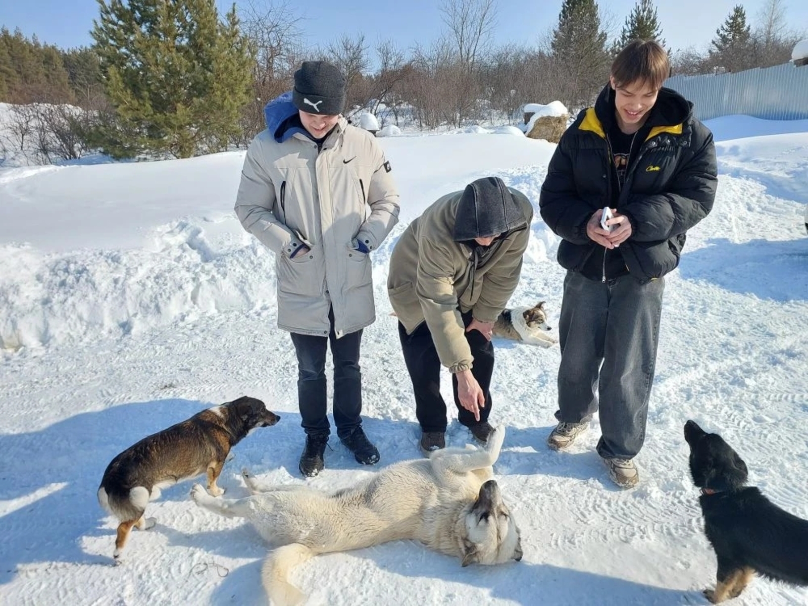 Доброта спасает мир
