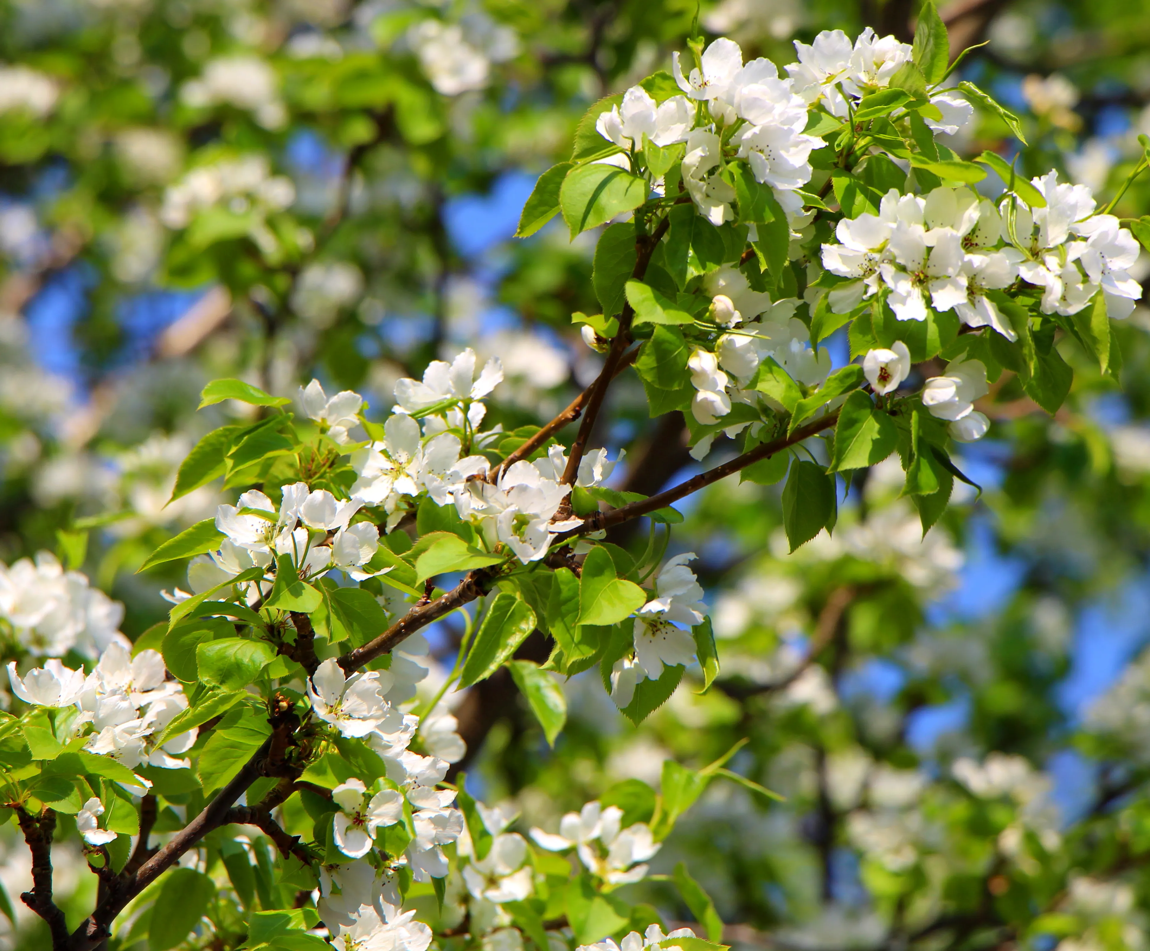 От заморозков до летнего зноя: в Башкирии синоптики дали прогноз на май
