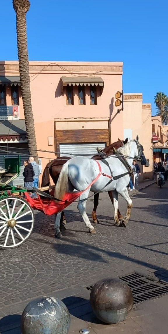 Путешествие из Белебея в Марокко