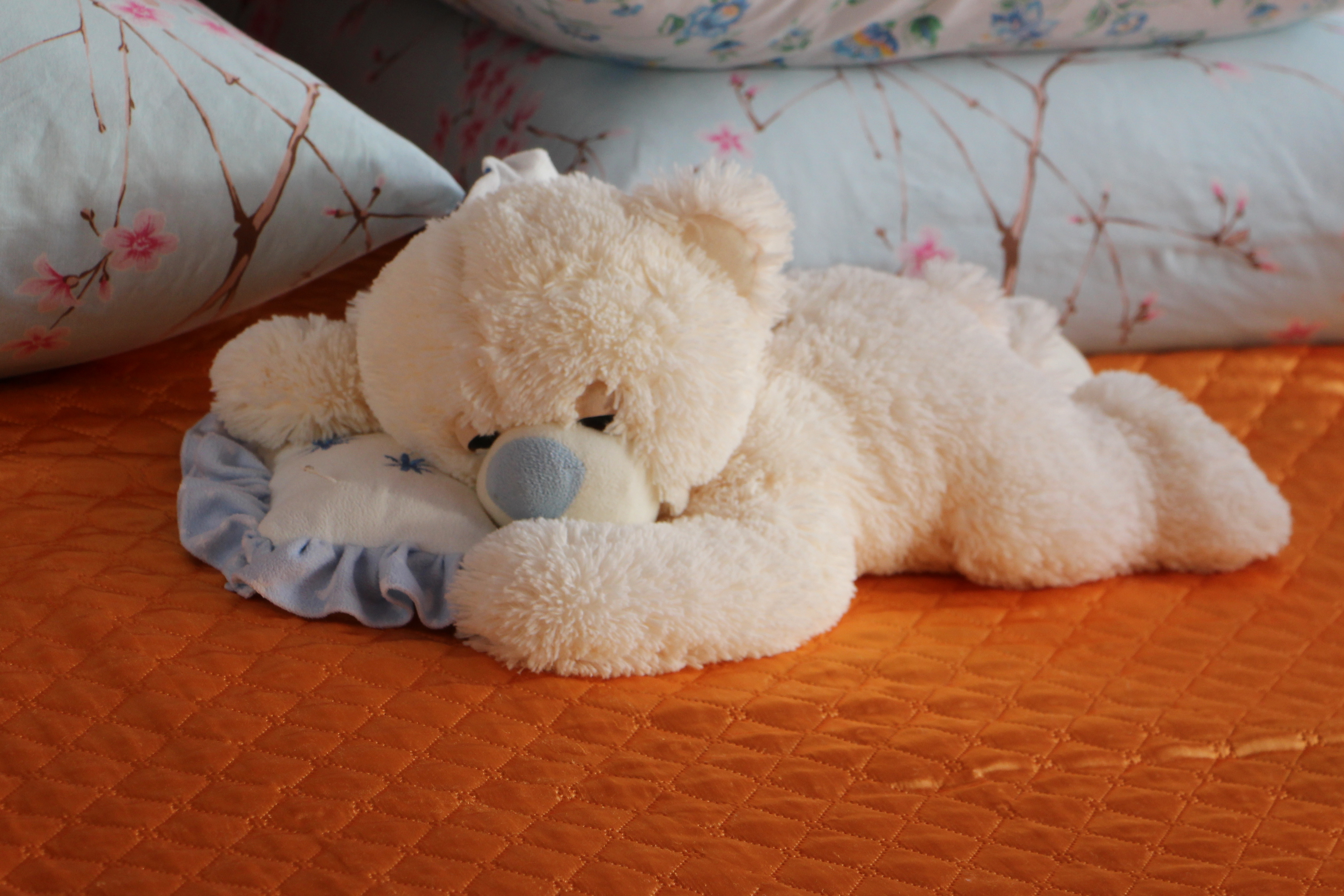 «Живём как на курорте!», или Репортаж из заснеженной Ключёвки