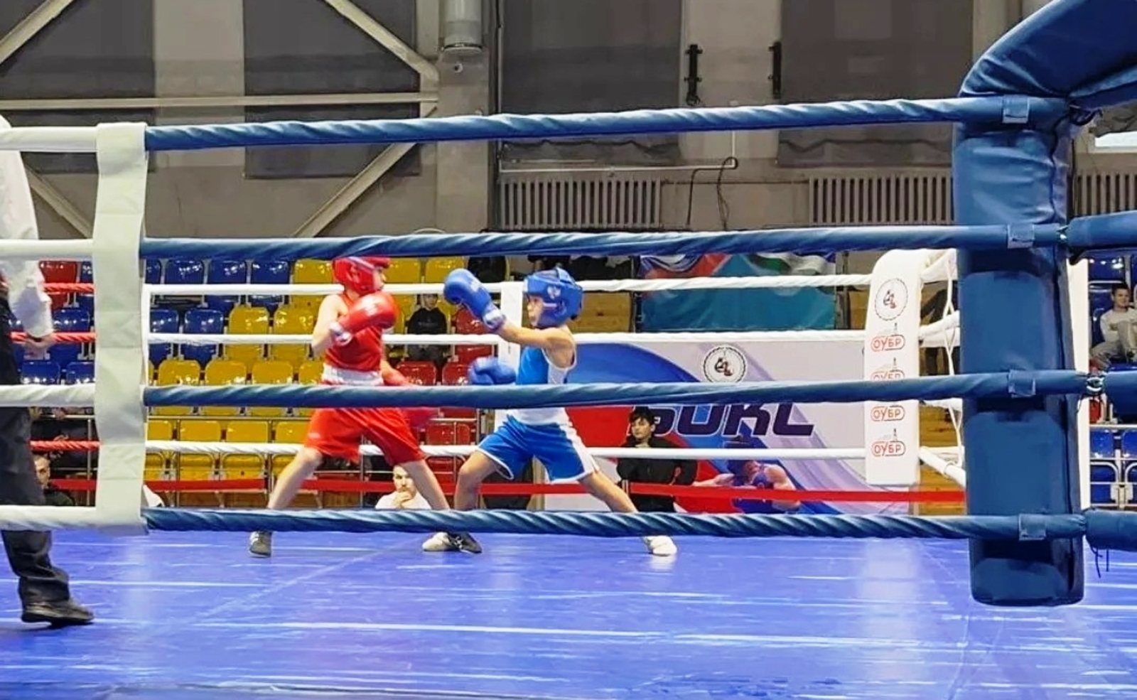 Маленькие боксеры – большие победы