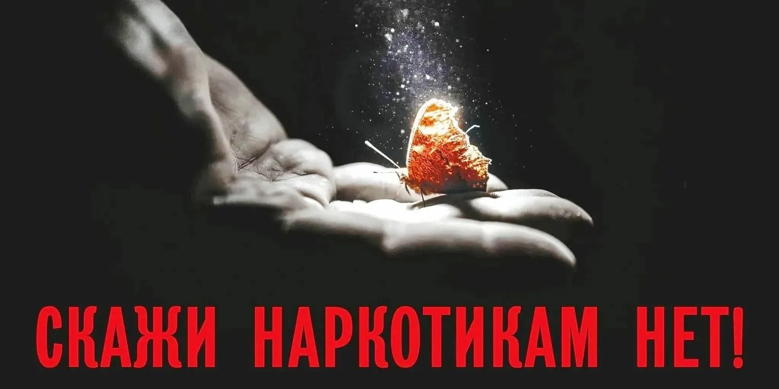 Не променяйте жизнь на забвение