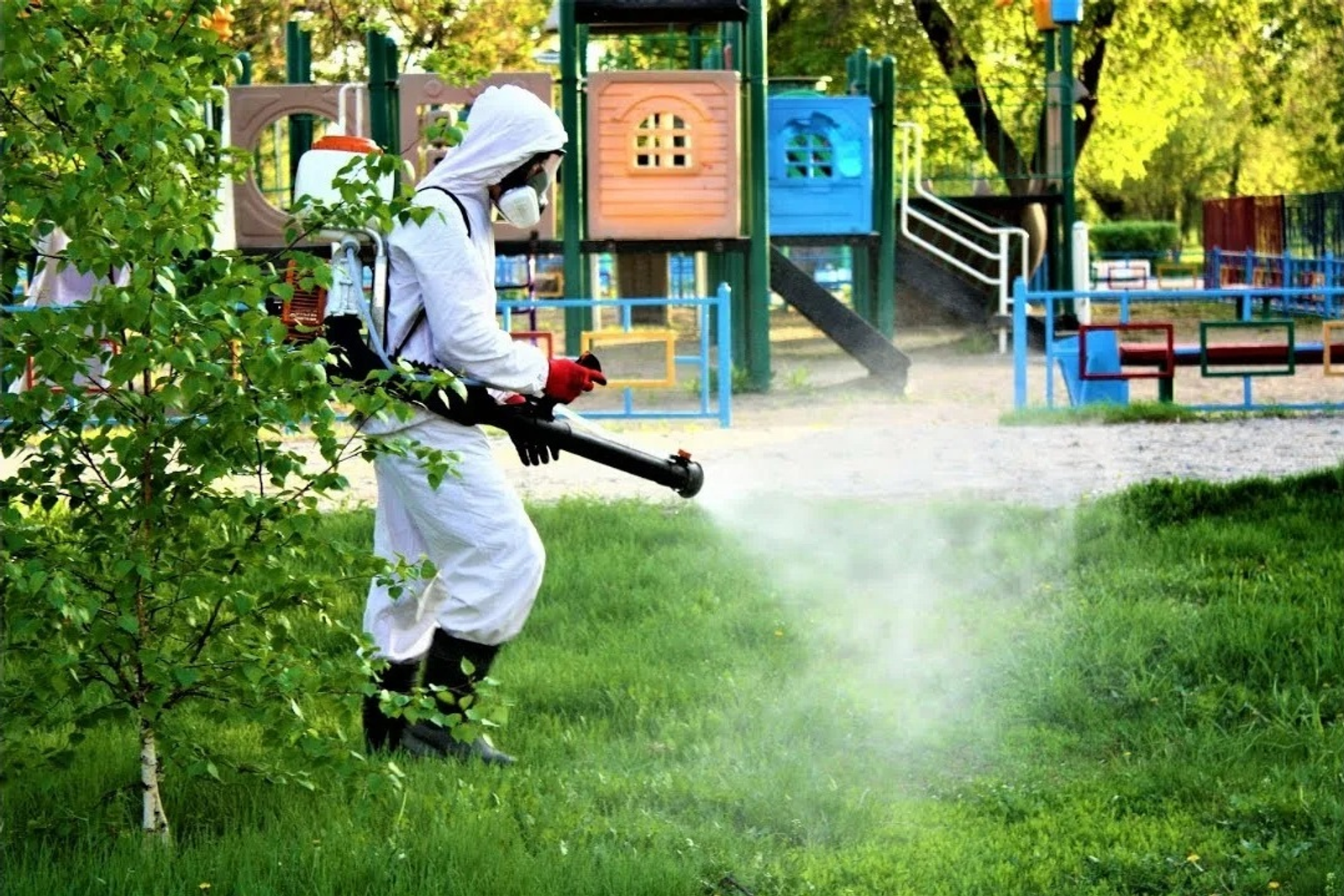 Роспотребнадзор Башкирии проверяет вирусное видео о клещах на детской площадке