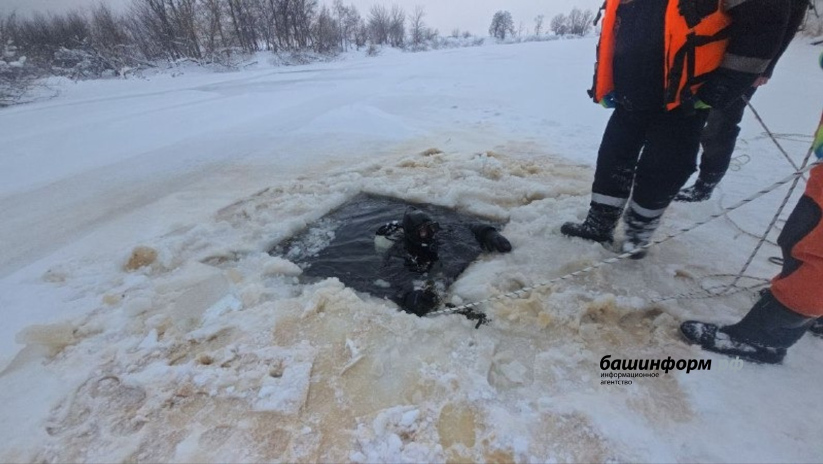 Массовая гибель в Башкирии — количество трупов может перевалить за тысячу