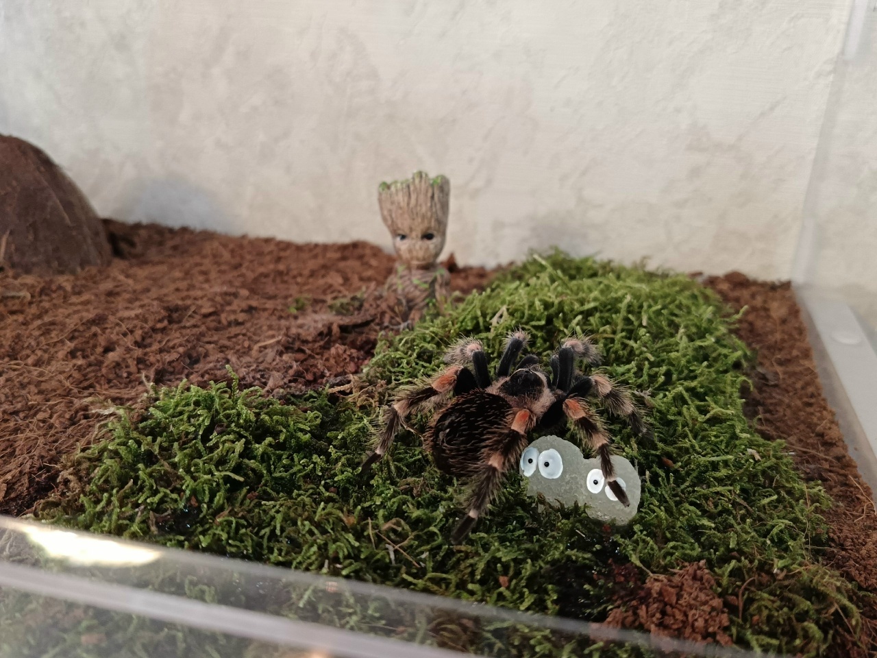 Вдохновленный природой или Удивительные увлечения Тимофея