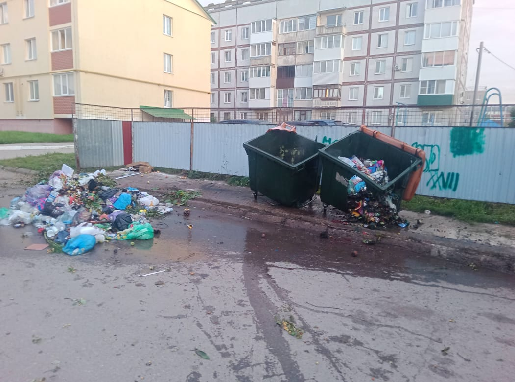 Под покровом ночи