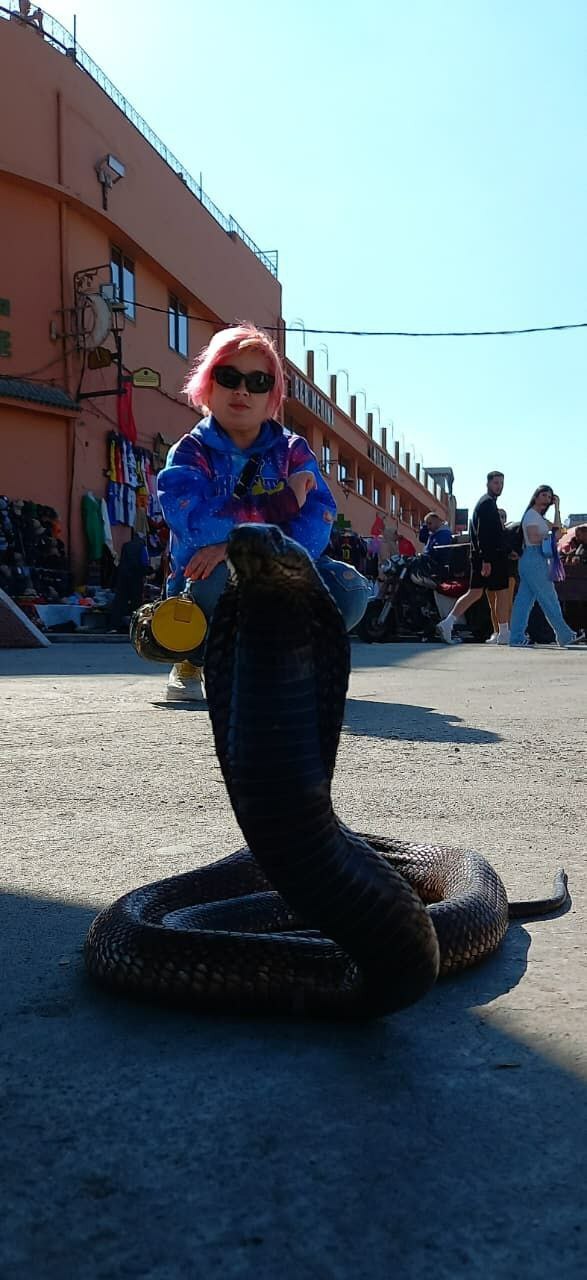 Путешествие из Белебея в Марокко