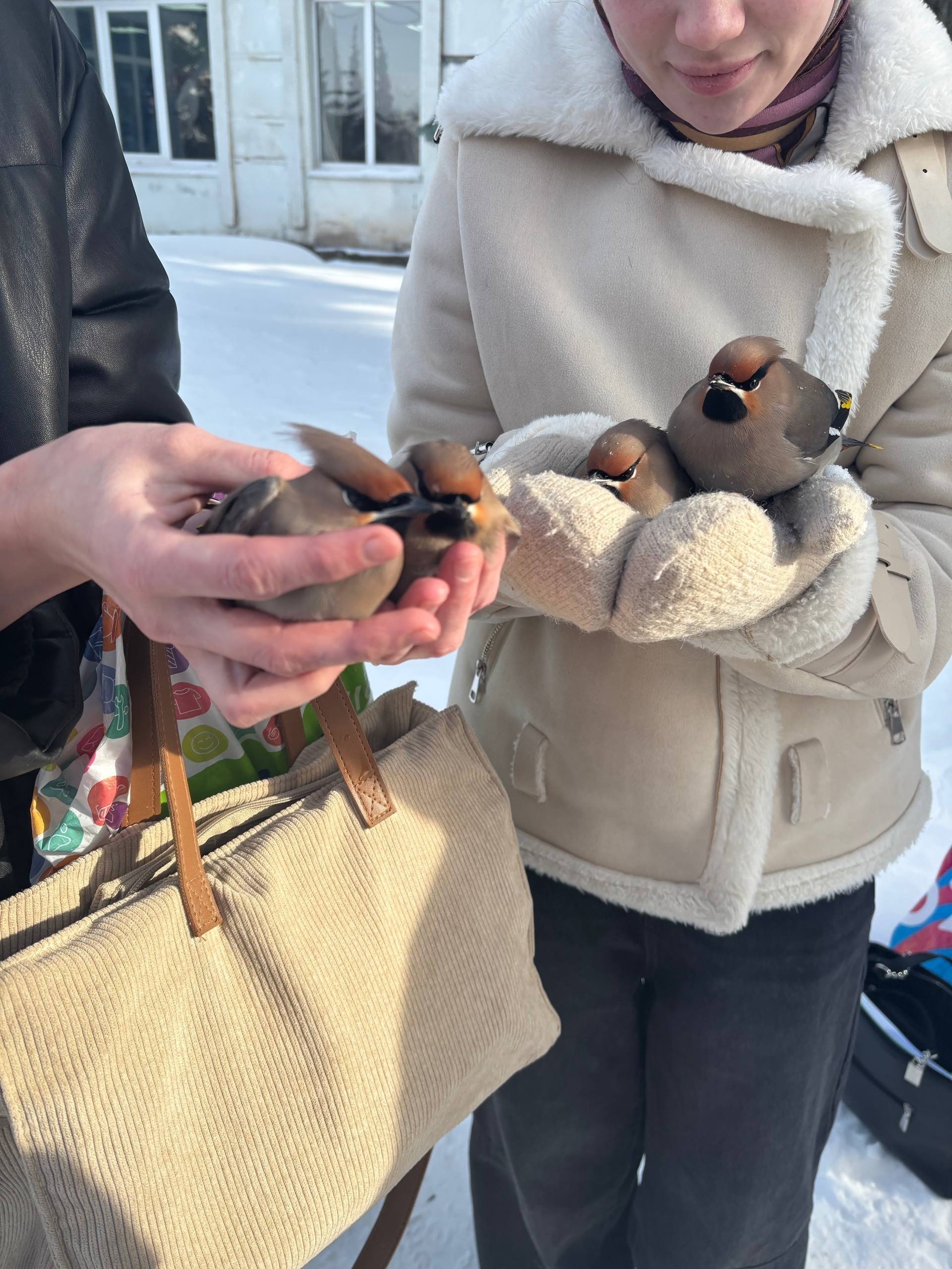 Пришли на помощь необычным «пациентам»