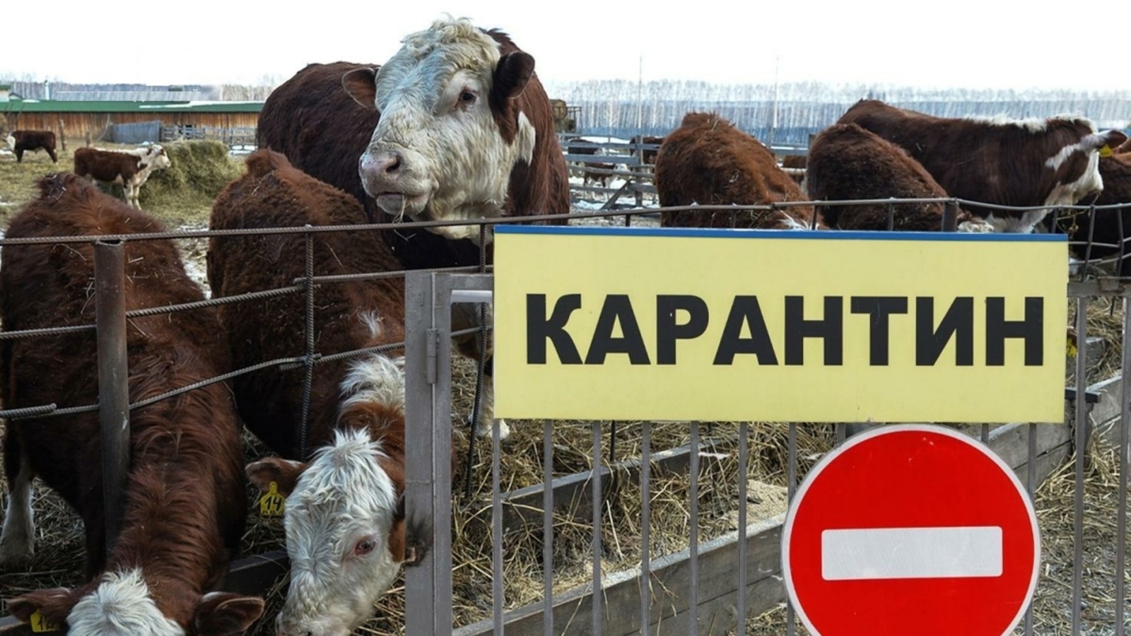 Соблюдайте меры предосторожности