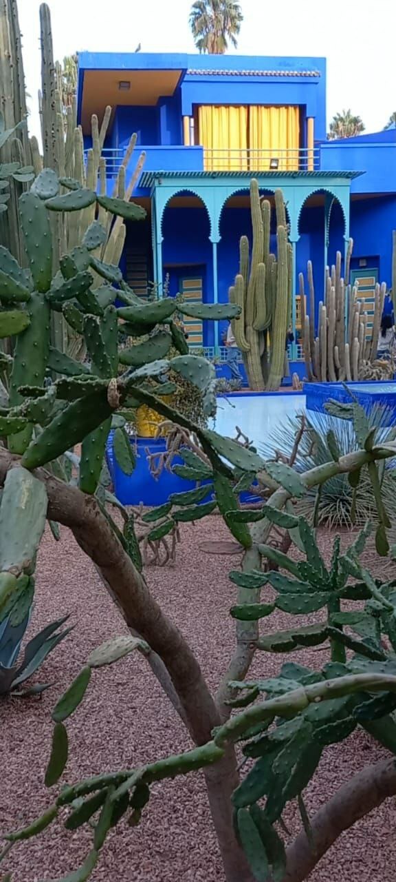 Путешествие из Белебея в Марокко