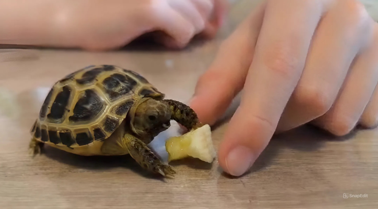 Вдохновленный природой или Удивительные увлечения Тимофея