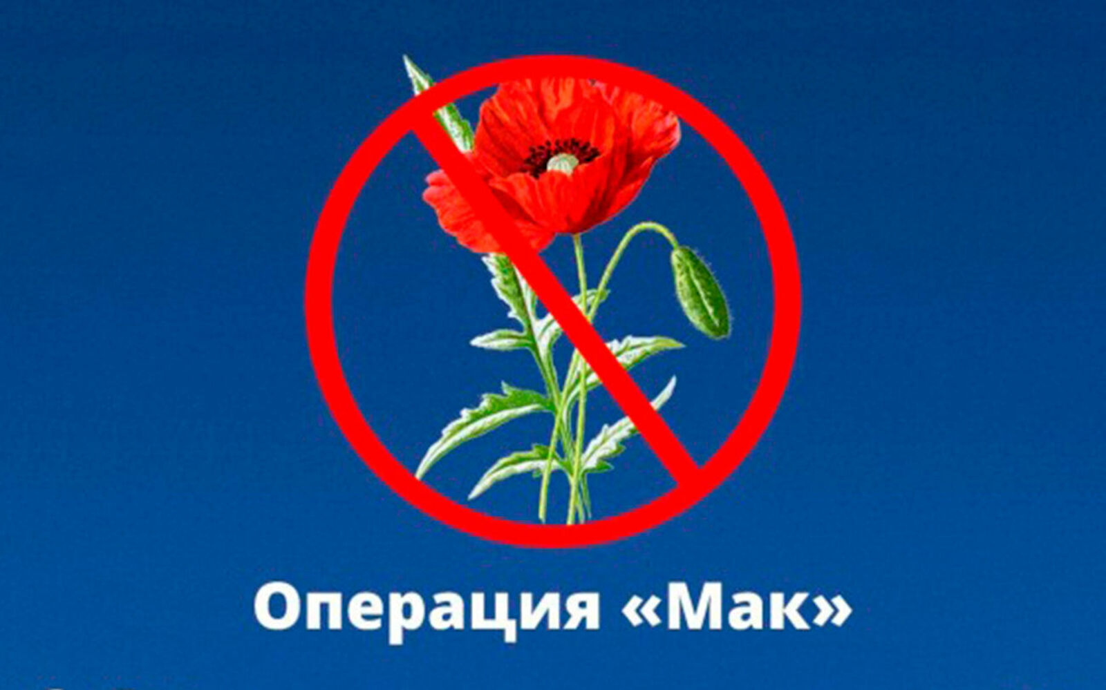 Операция «Мак-2025»: у жителя Янаульского района изъяли «синтетику»