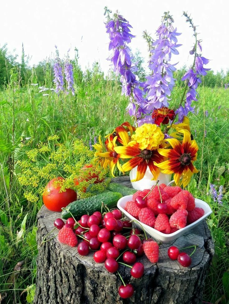 Во саду ли, в огороде...