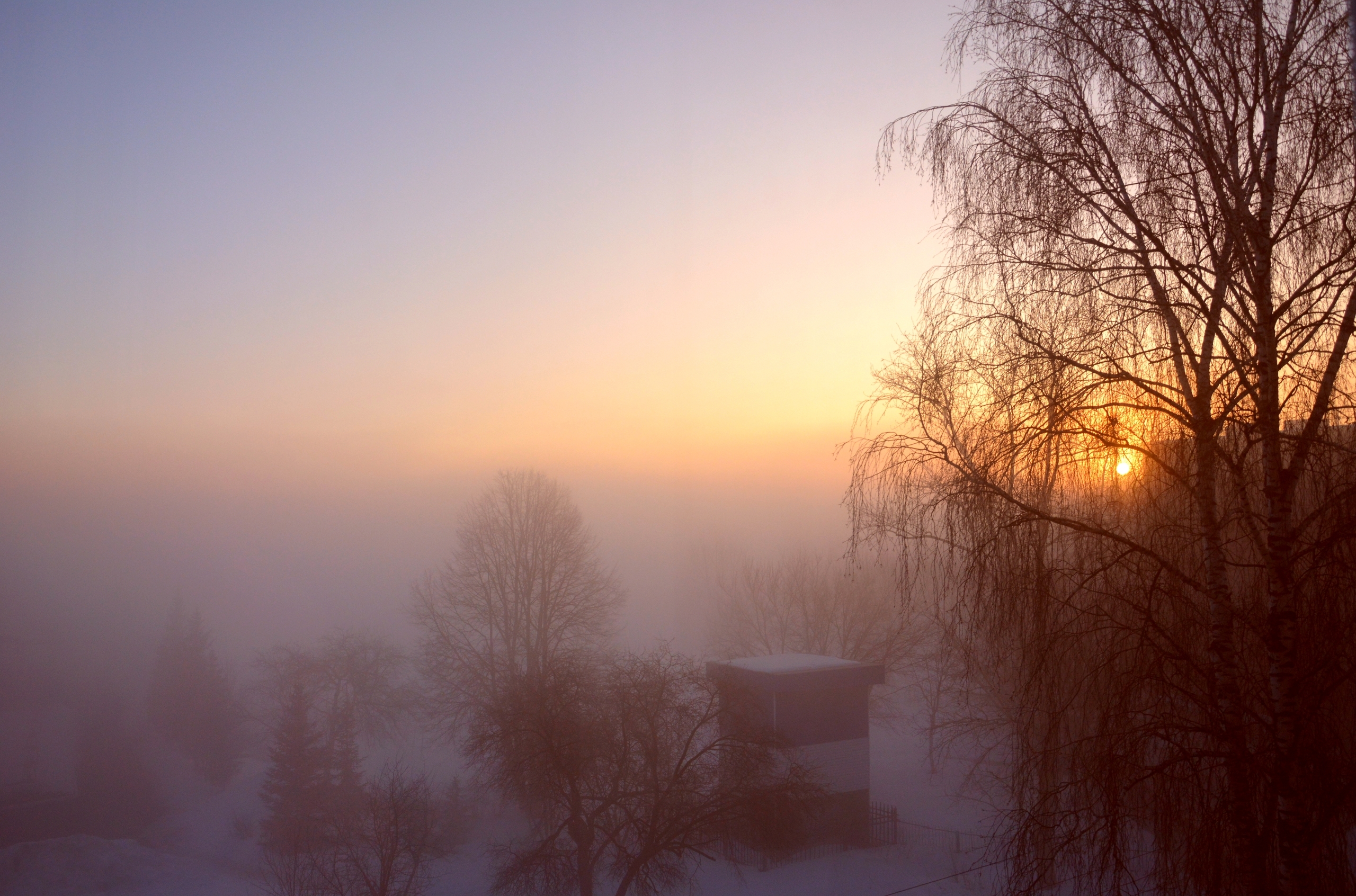 Водителям Башкирии рассказали о мерах предосторожности во время тумана
