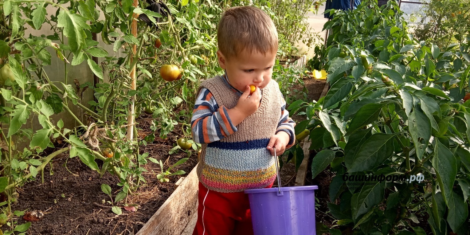 Готовимся к весне