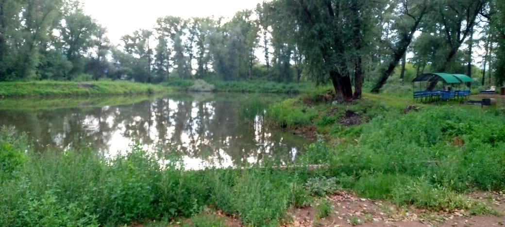 Болото превратили в озеро: жители Башкирии своими руками создали зону отдыха у родного села