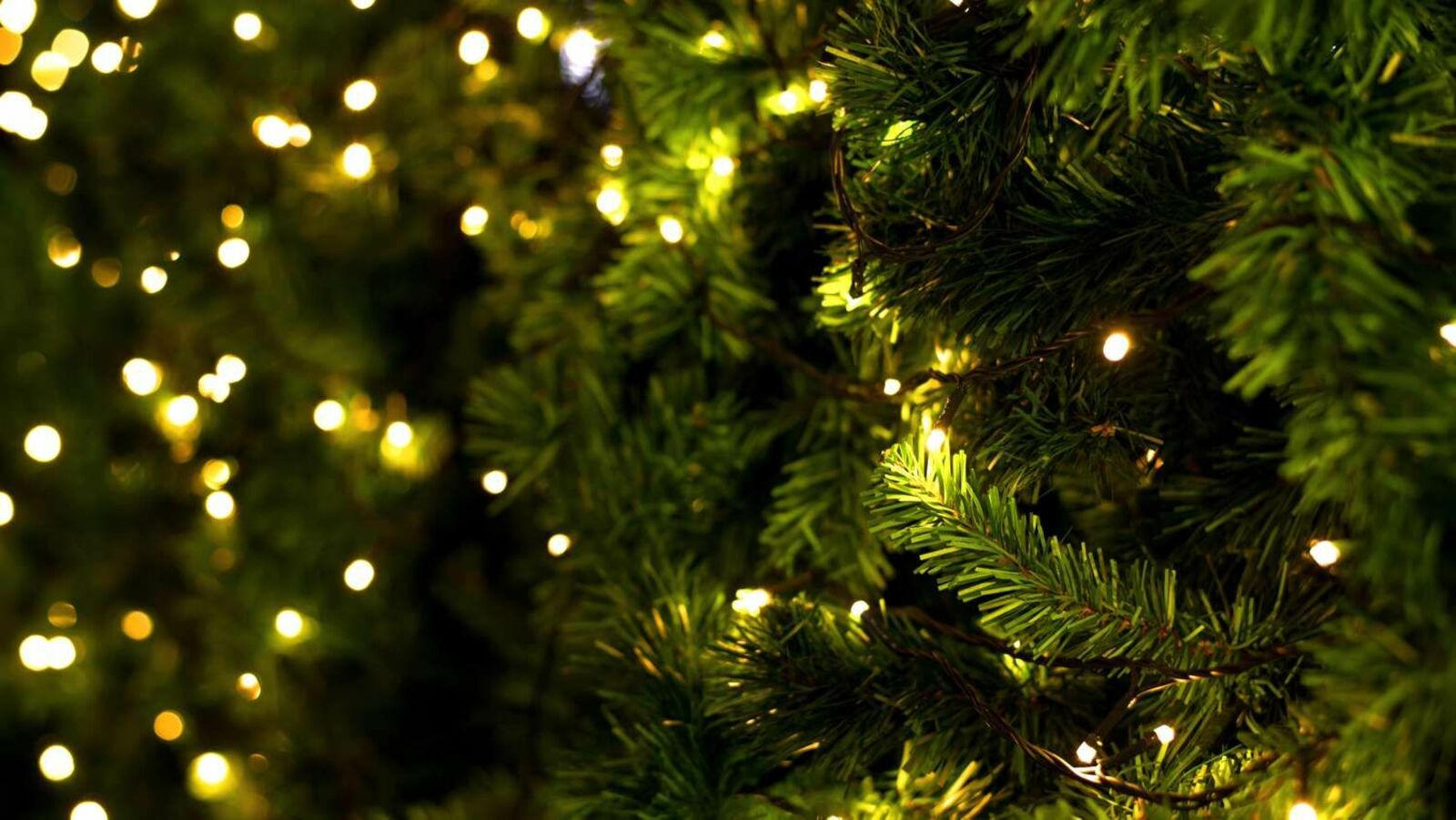 В Башкирии вводят особый противопожарный режим на Новый год