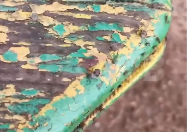 Роспотребнадзор Башкирии проверяет вирусное видео о клещах на детской площадке